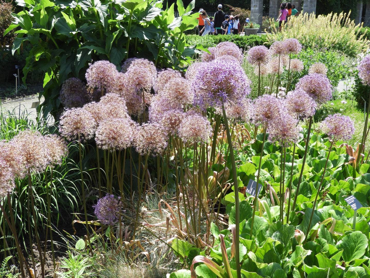 Botanical Garden in Montreal QC 21 of 51 (#8784)