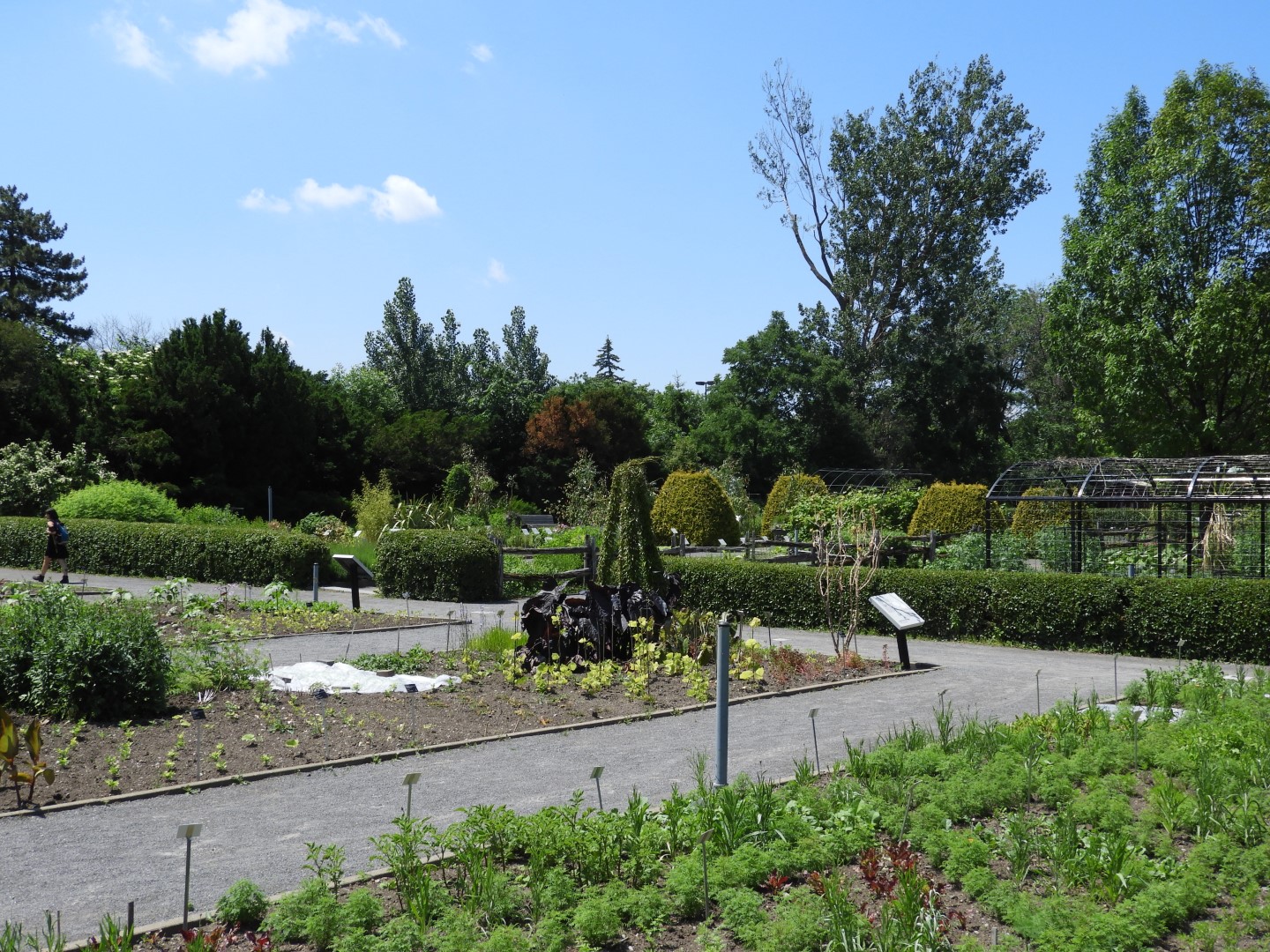 Botanical Garden in Montreal QC 22 of 51 (#8785)
