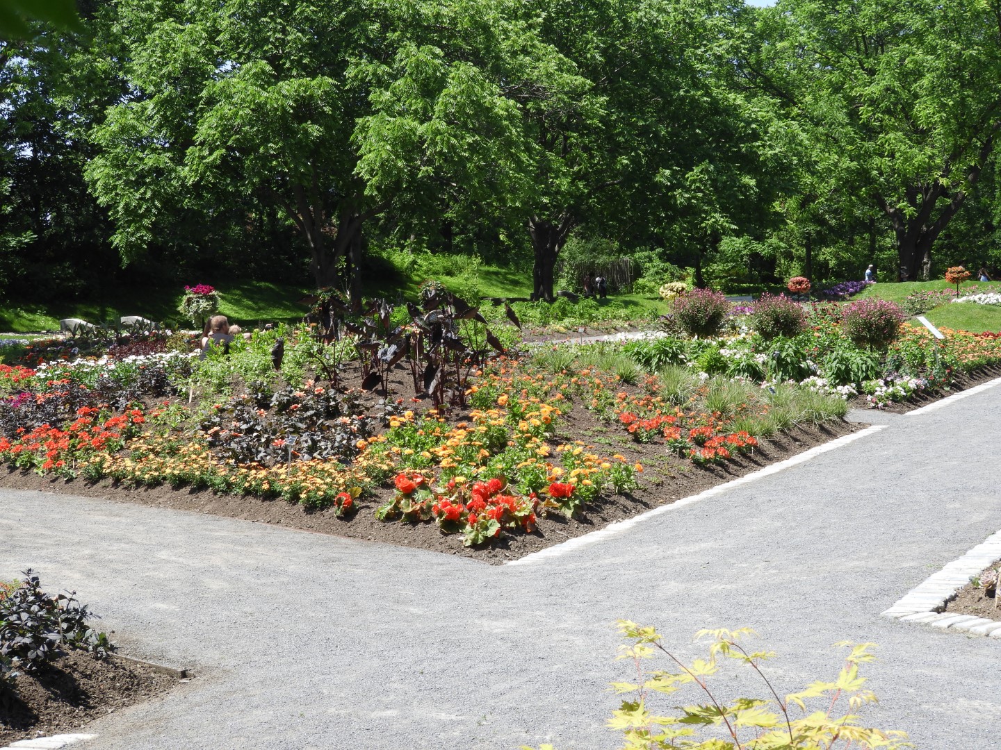 Botanical Garden in Montreal QC 25 of 51 (#8788)