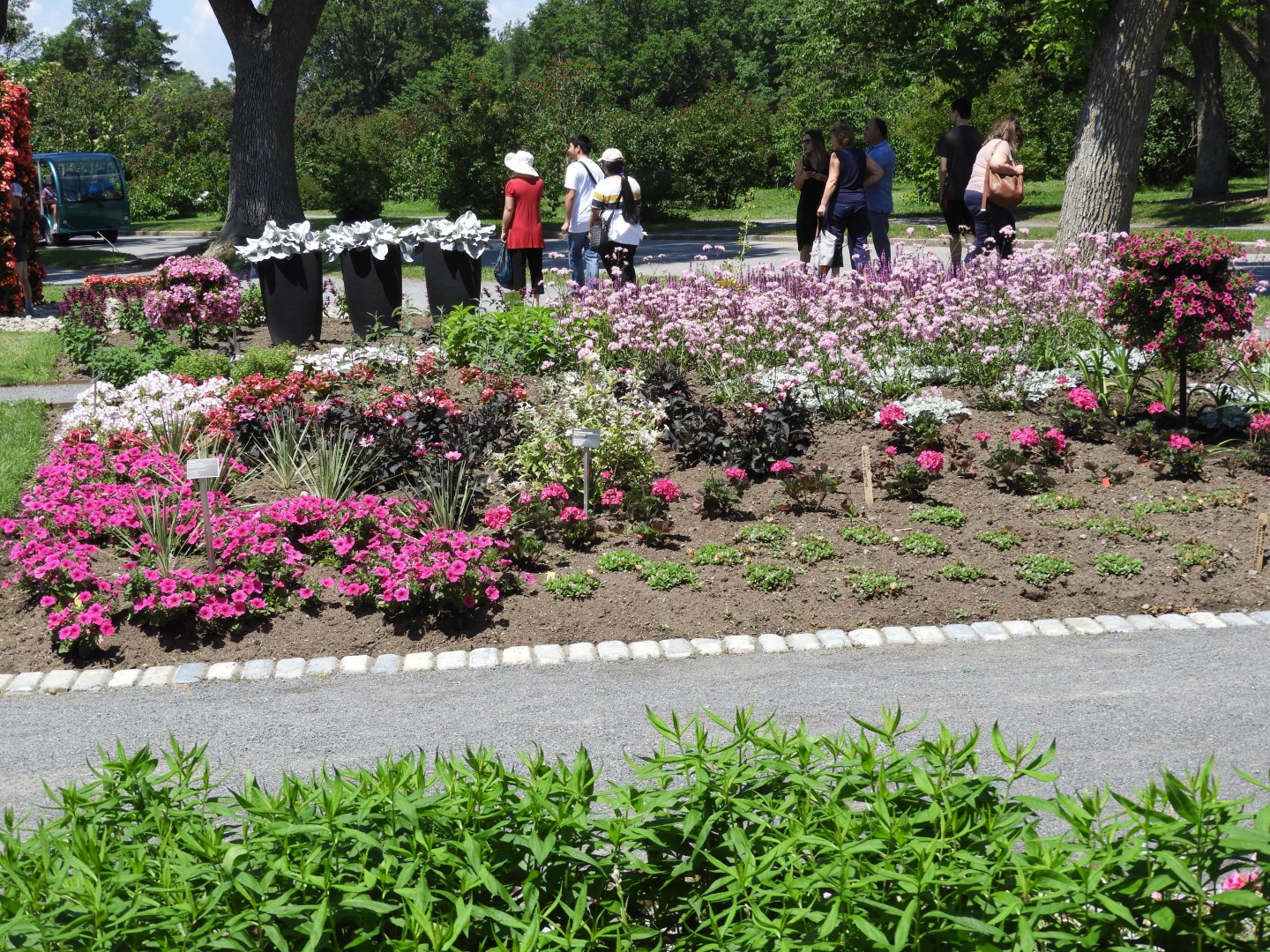 Botanical Garden in Montreal QC 26 of 51 (#8789)