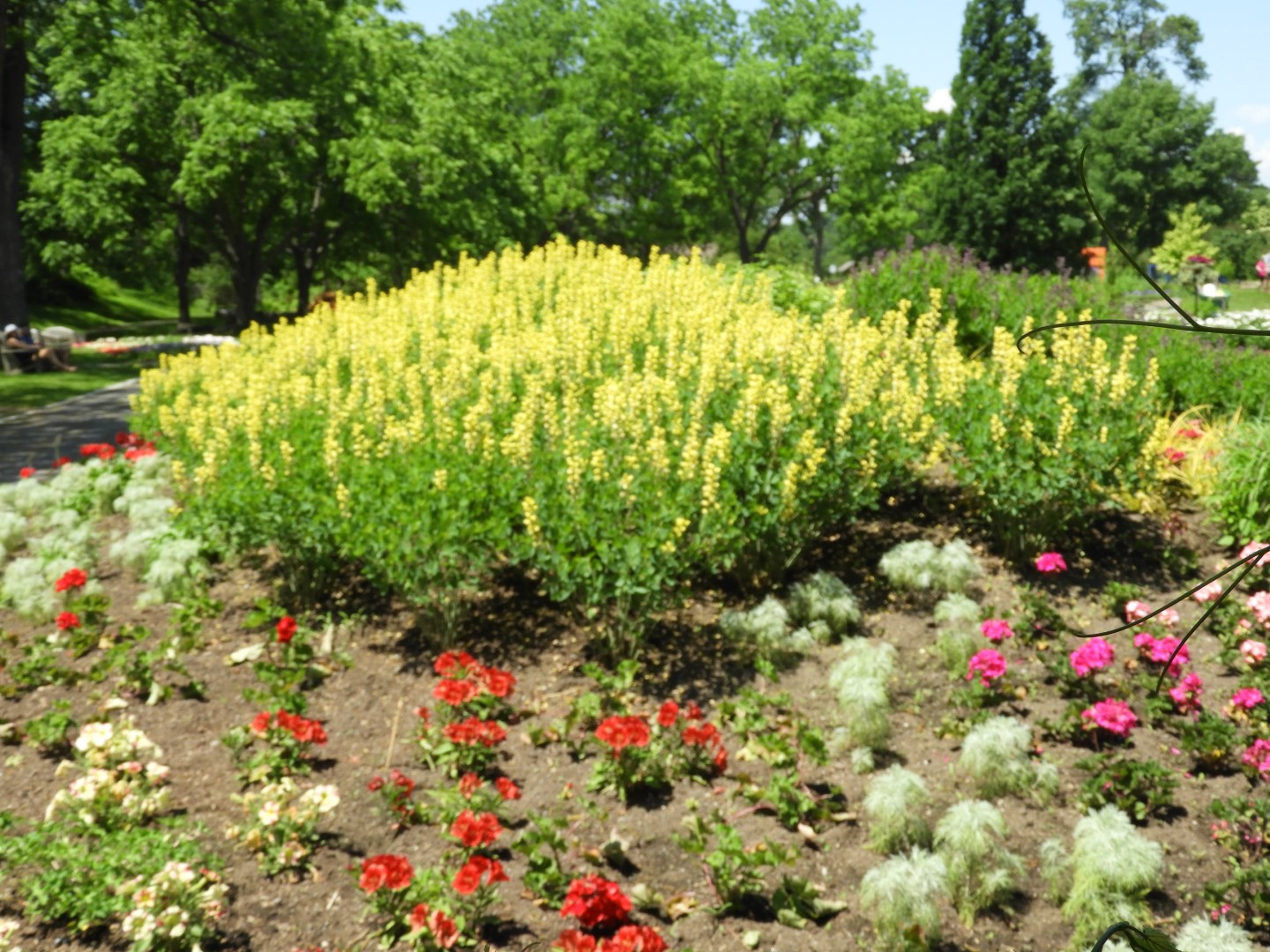 Botanical Garden in Montreal QC 27 of 51 (#8790)