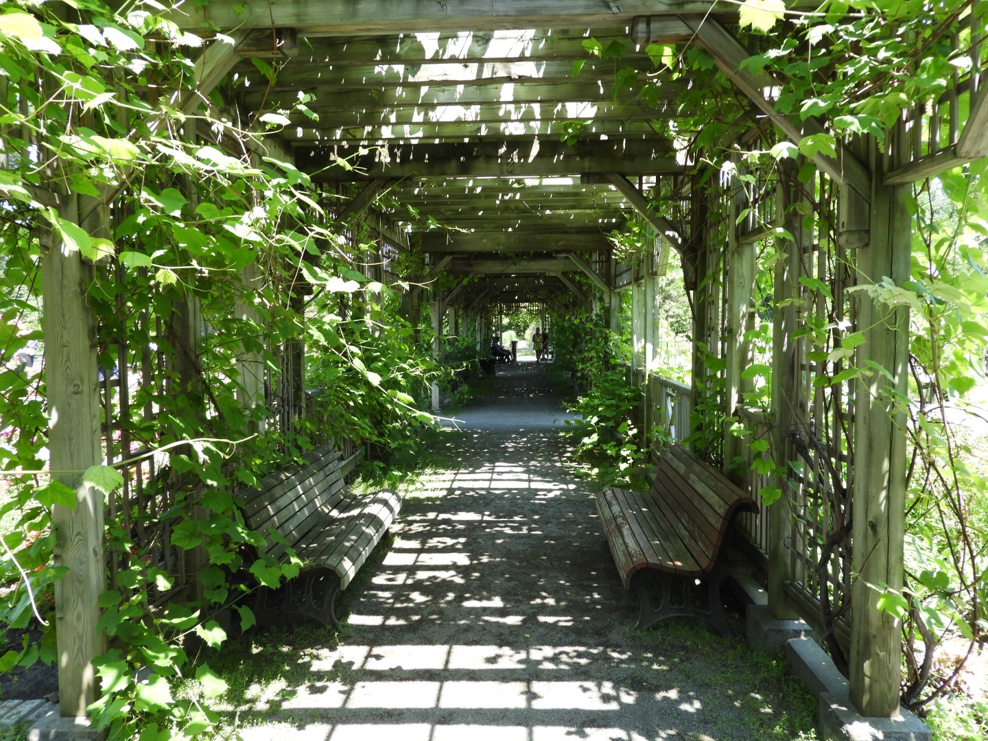 Botanical Garden in Montreal QC 28 of 51 (#8791)