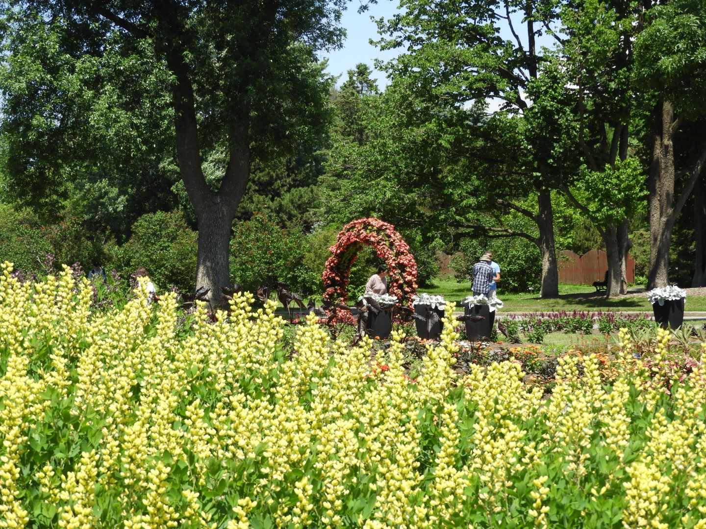Botanical Garden in Montreal QC 29 of 51 (#8792)