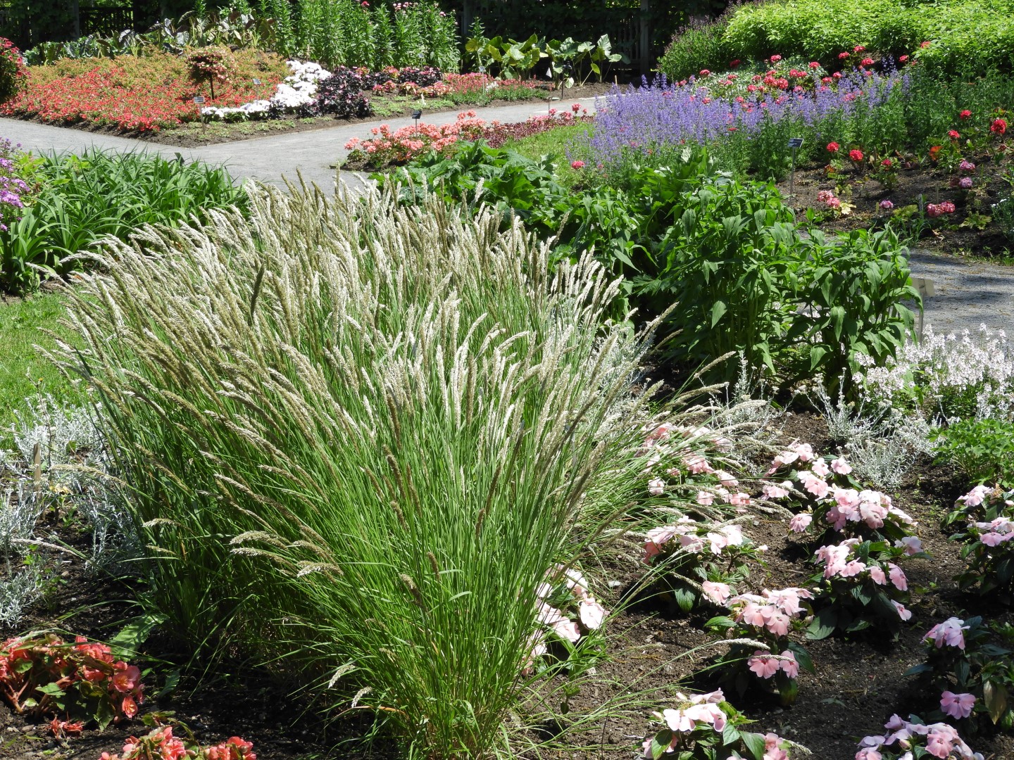 Botanical Garden in Montreal QC 31 of 51 (#8794)