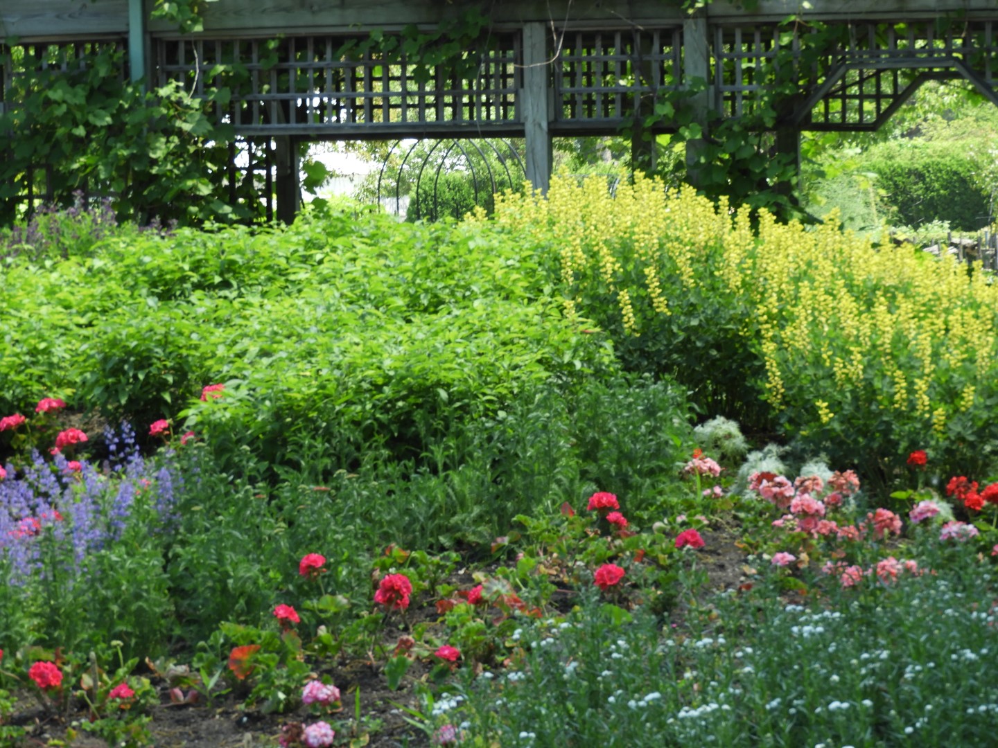 Botanical Garden in Montreal QC 32 of 51 (#8795)