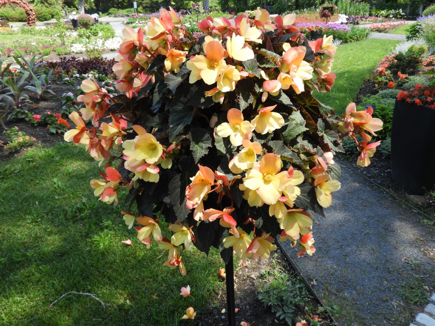 Botanical Garden in Montreal QC 33 of 51 (#8796)