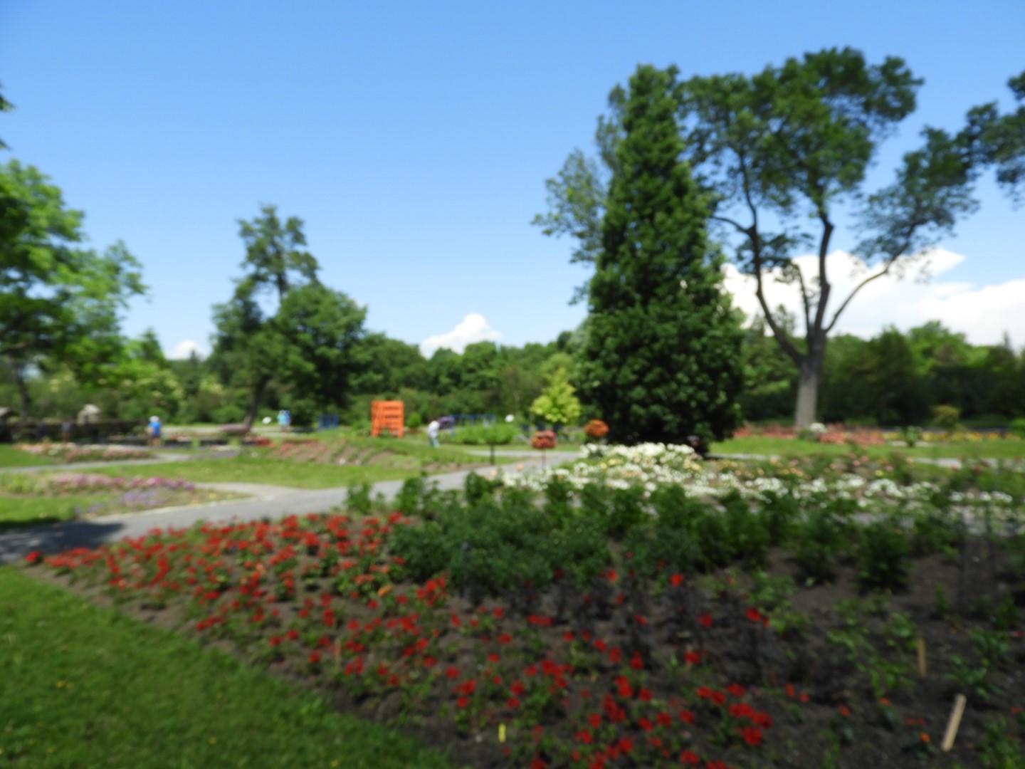 Botanical Garden in Montreal QC 34 of 51 (#8797)