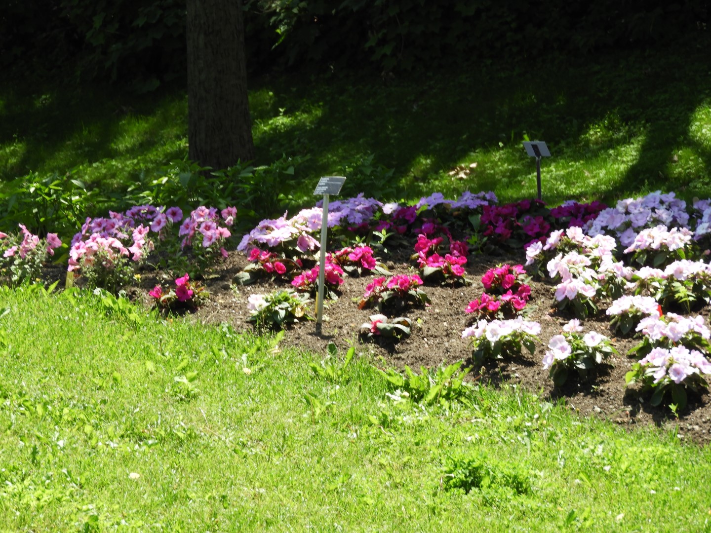 Botanical Garden in Montreal QC 40 of 51 (#8803)