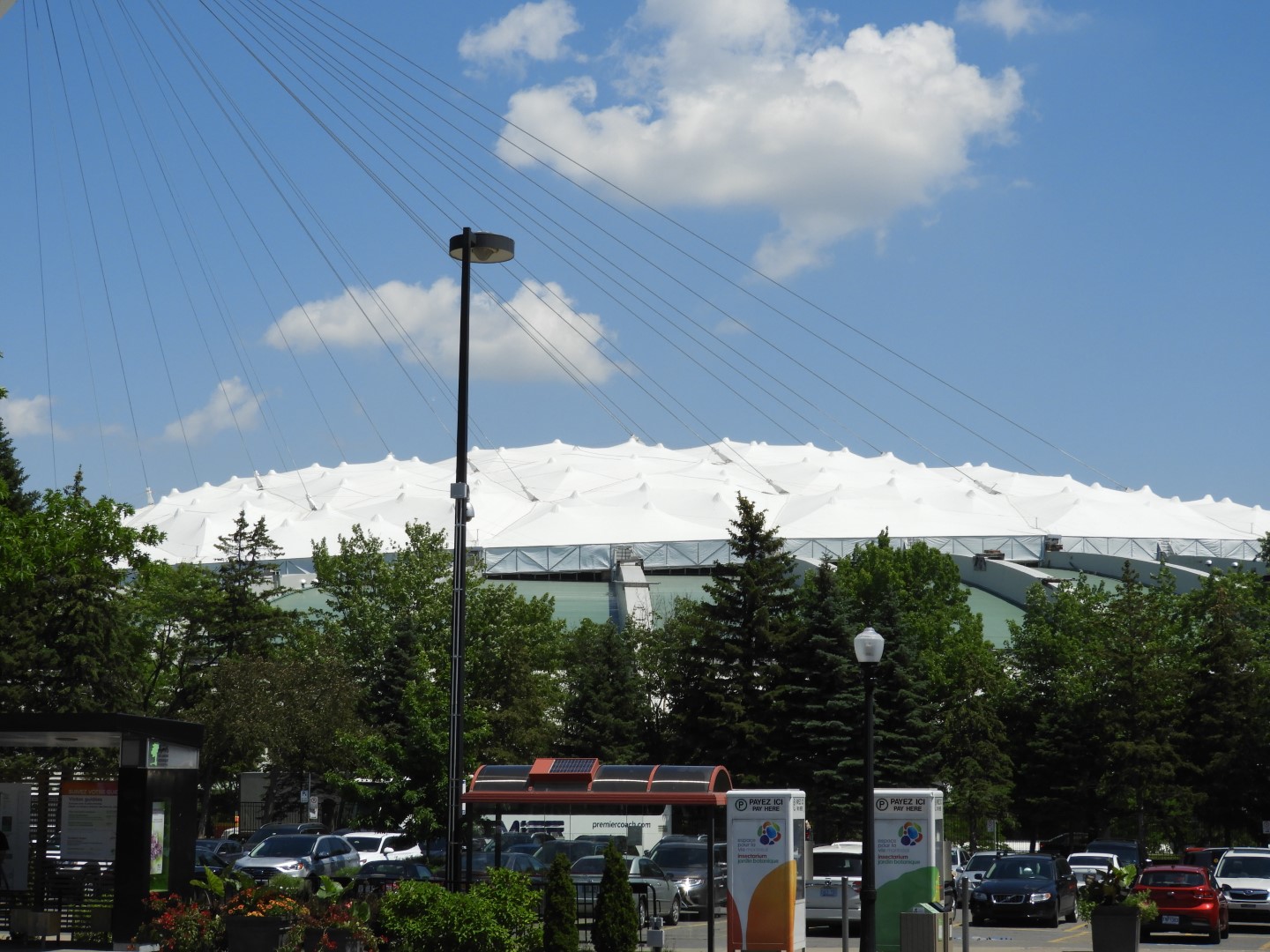 Near the Botanical Garden in Montreal QC 6 of  7 (#8819)