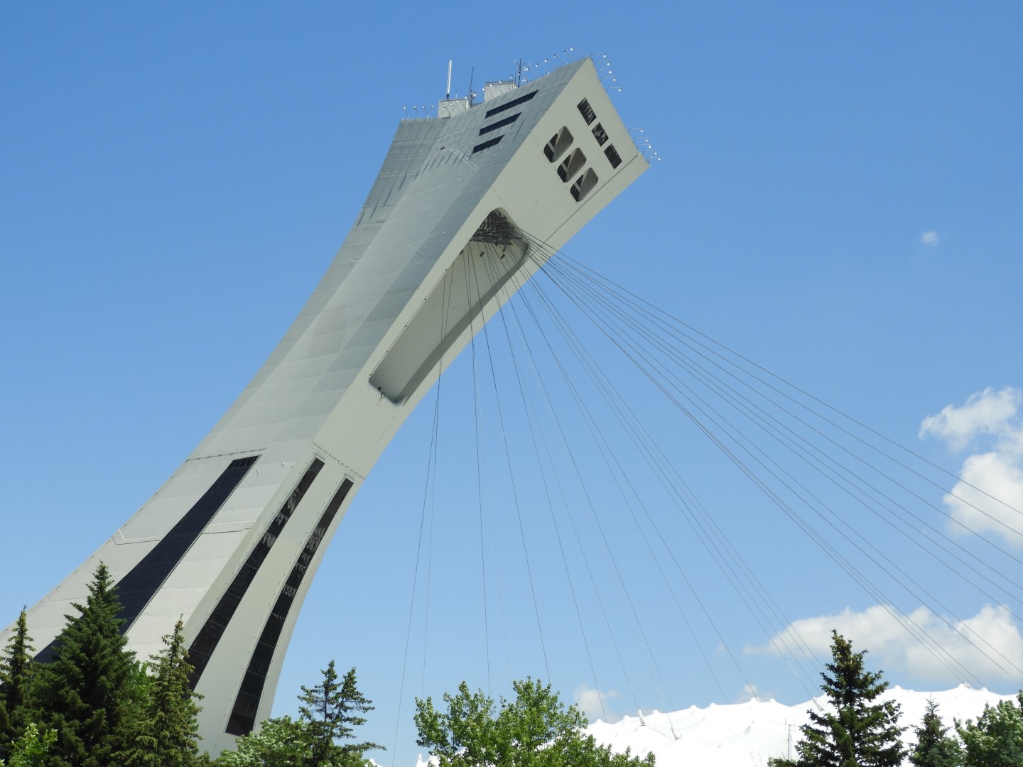 Near the Botanical Garden in Montreal QC 7 of  7 (#8820)