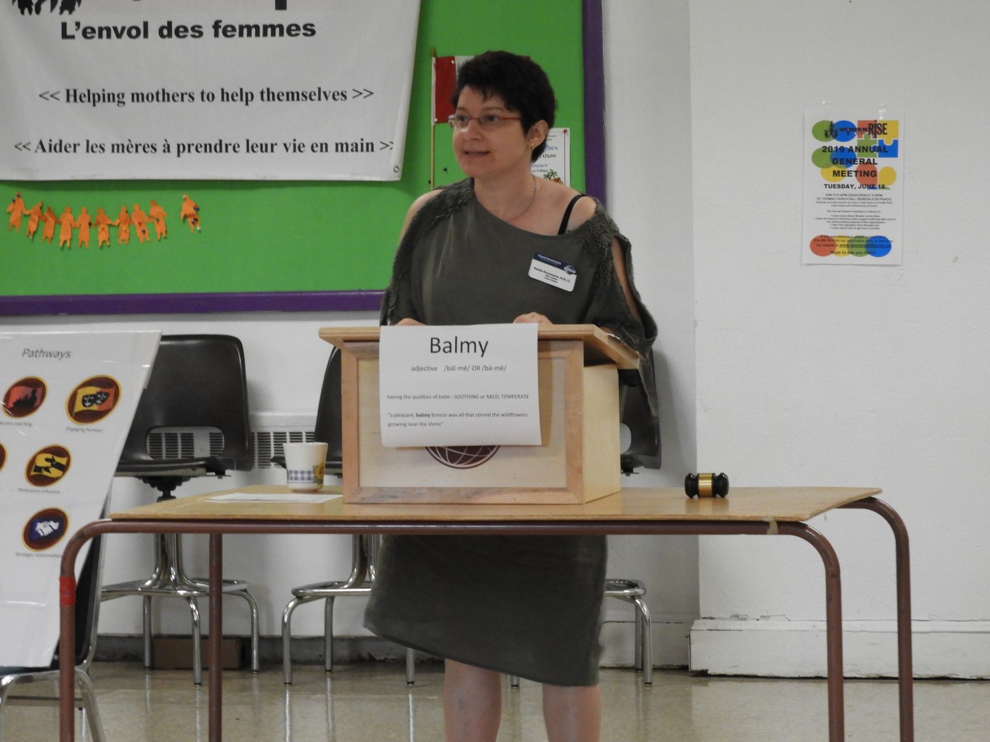 NDG Toastmasters Club in Montreal QC 12 of 17 (#8835)