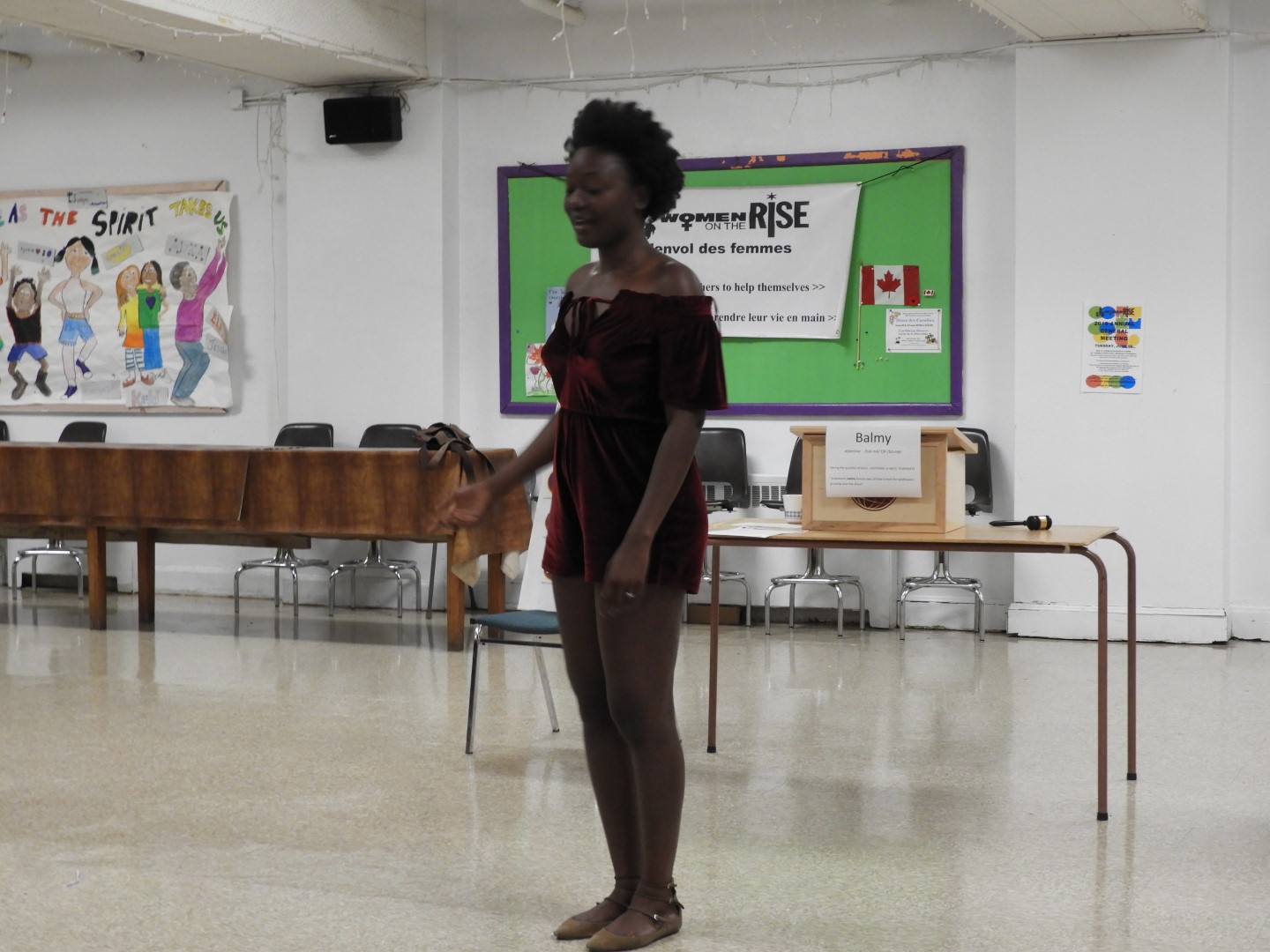 NDG Toastmasters Club in Montreal QC 17 of 17 (#8841)