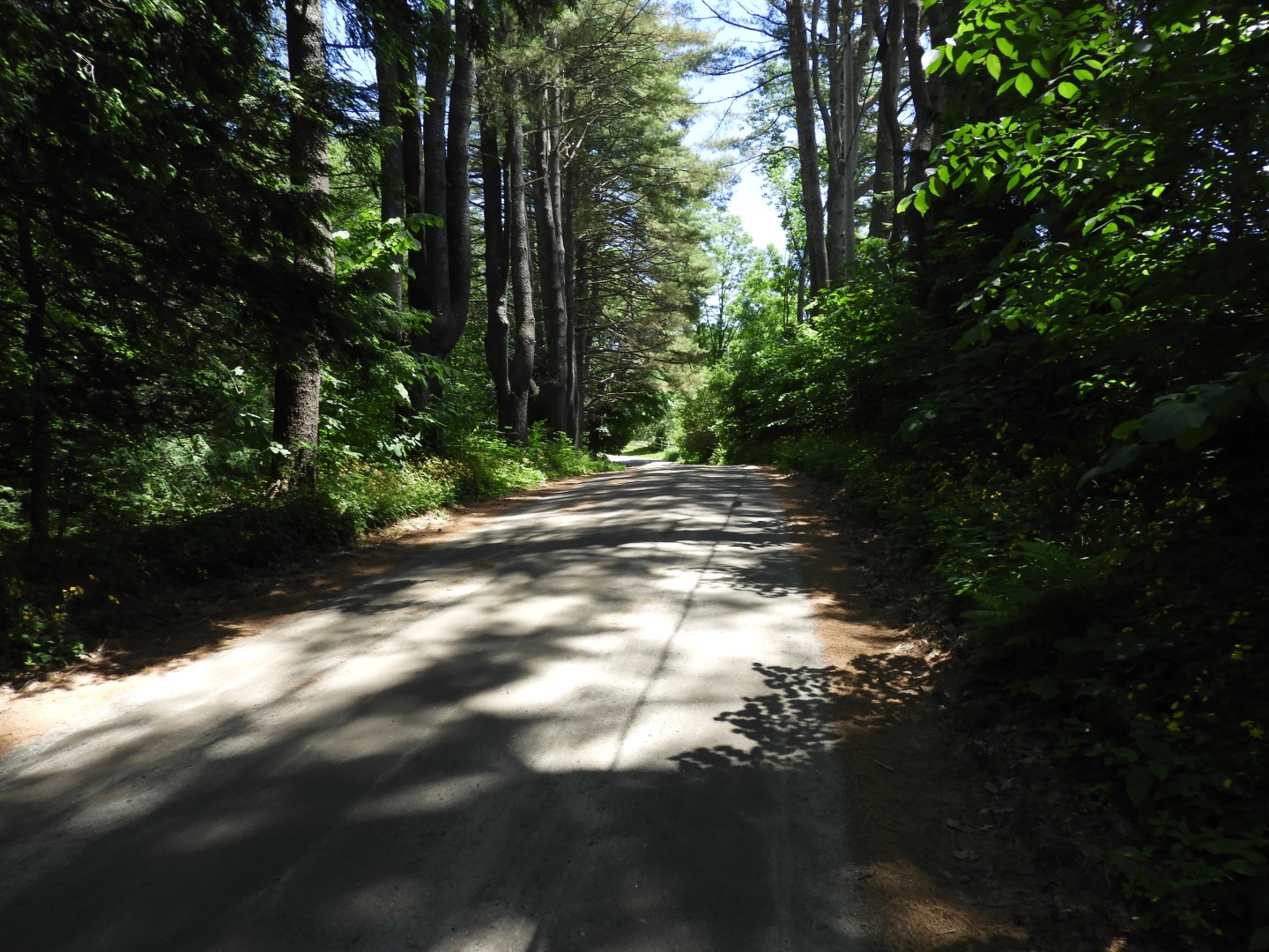 Scenery around Saint Gaudens National Historic Site NH 1 of  8 (#8866)