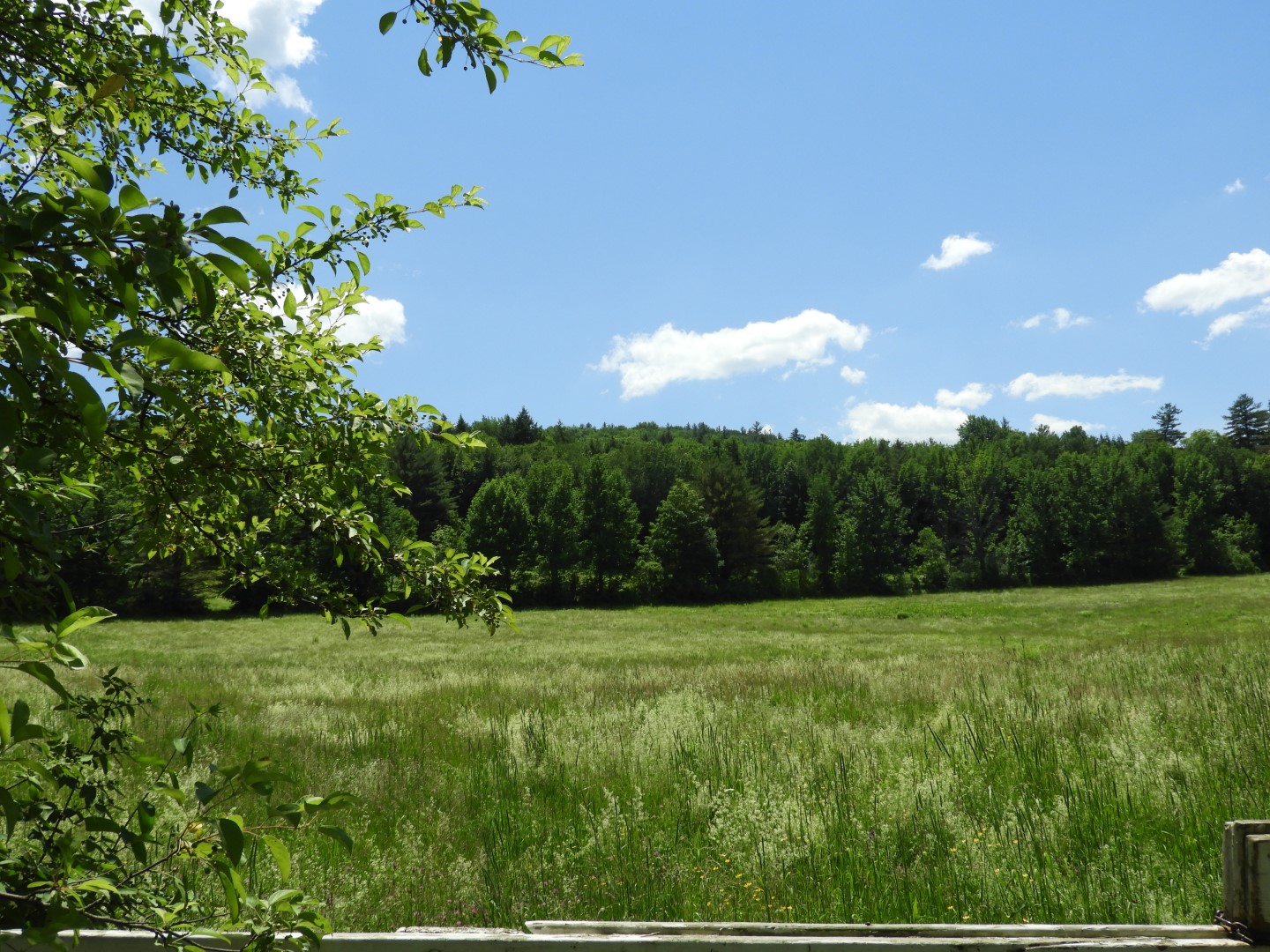 Scenery around Saint Gaudens National Historic Site NH 3 of  8 (#8868)