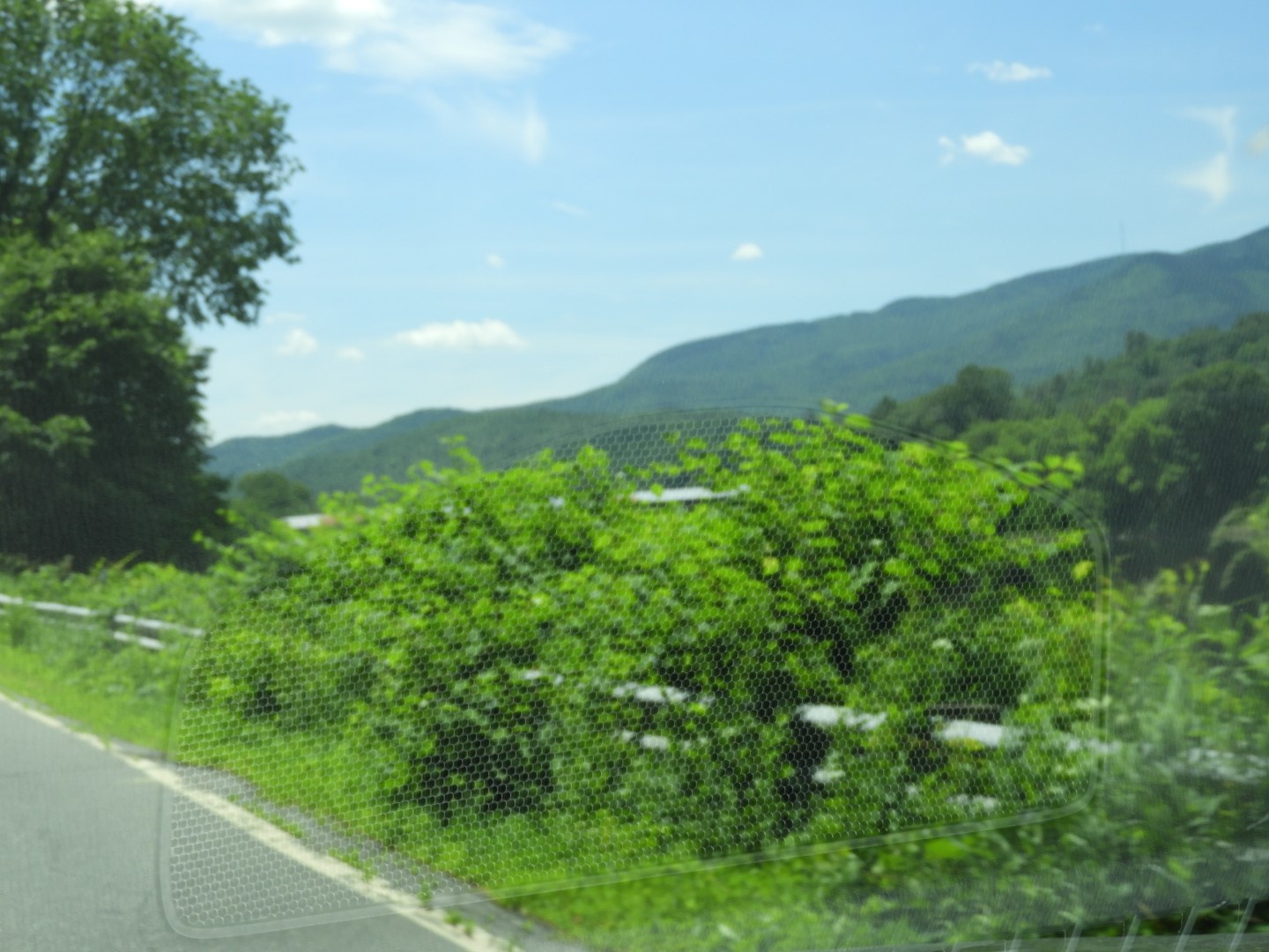 Scenery around Saint Gaudens National Historic Site NH 8 of  8 (#8889)