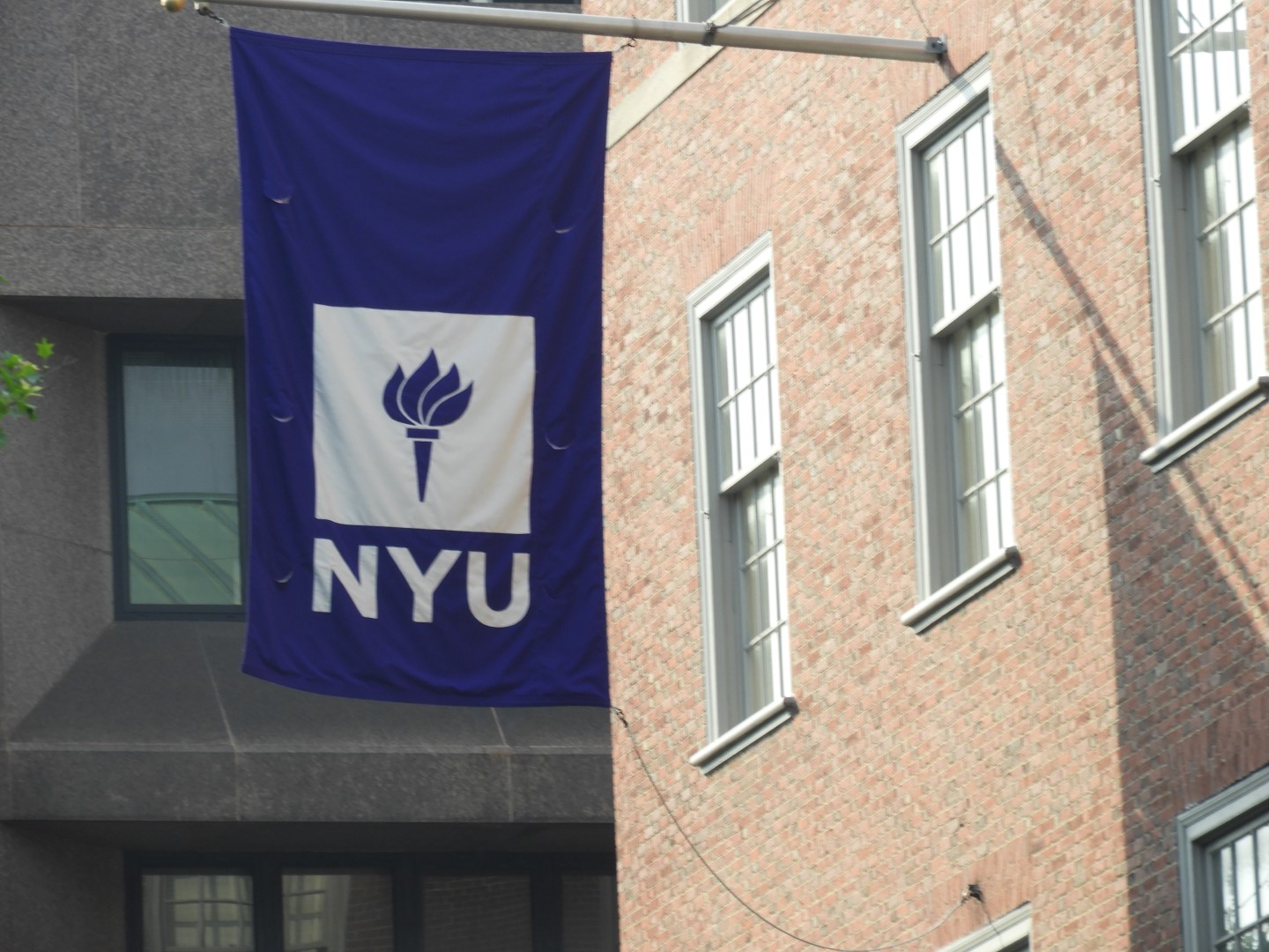 New York University NY 2 of  2 (#8920)
