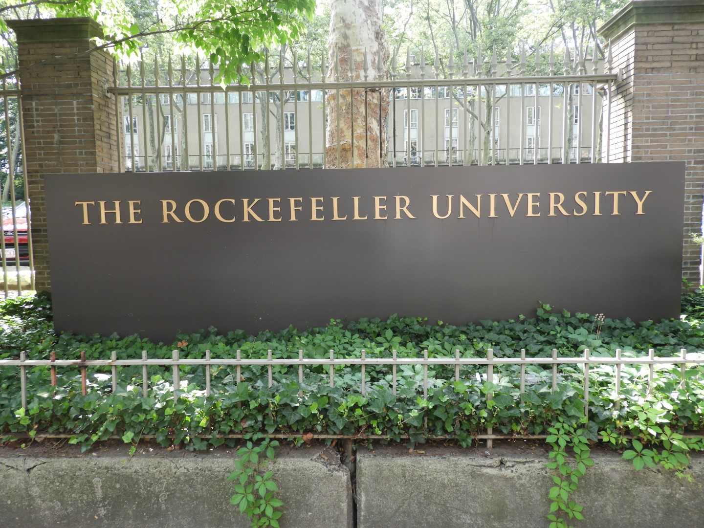 Rockerfeller University NY 1 of  4 (#8922)