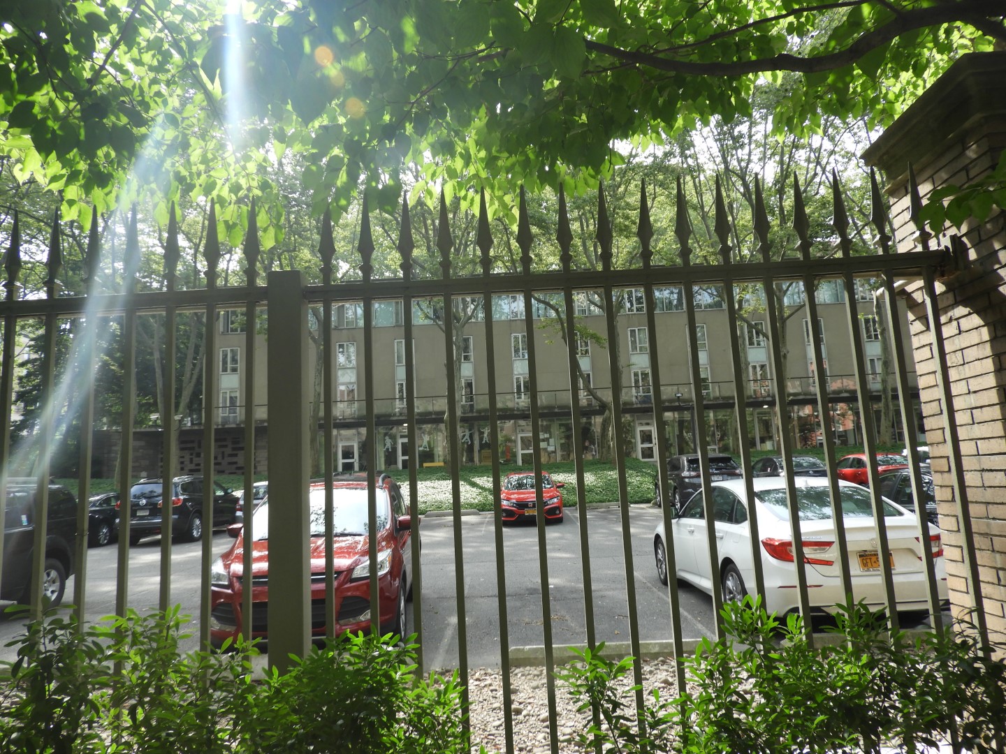 Rockerfeller University NY 2 of  4 (#8923)