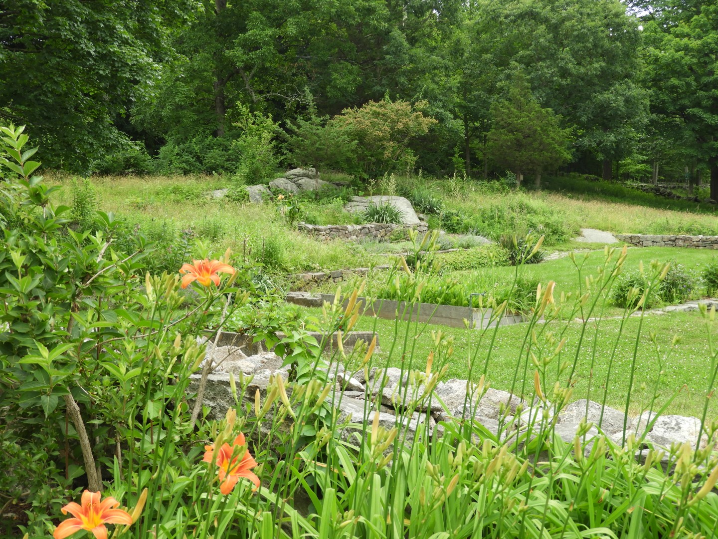 Weir Farm National Historic Site CT 6 of 13 (#8942)