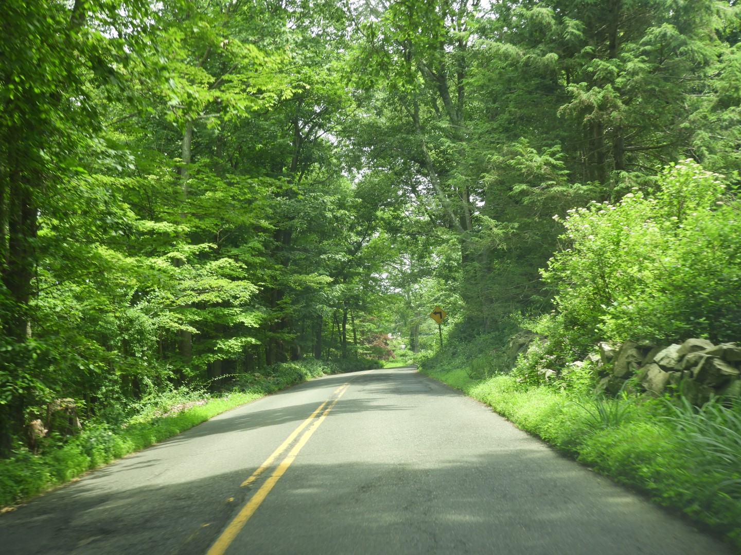 Weir Farm National Historic Site CT 13 of 13 (#8949)