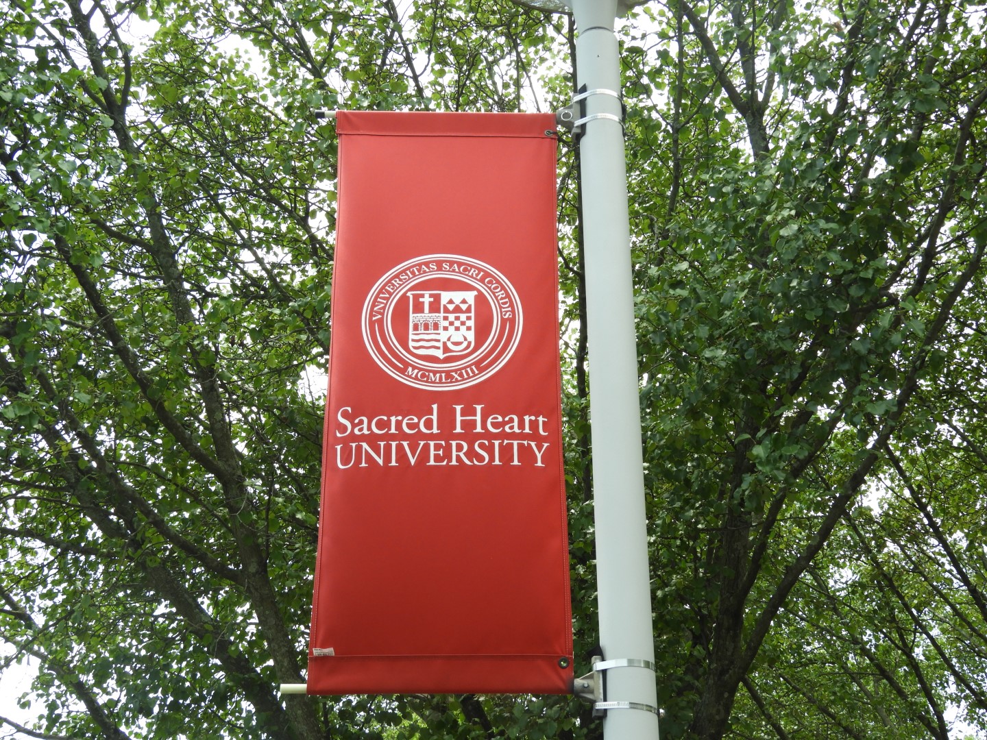 Sacred Heart University CT 2 of  3 (#8960)