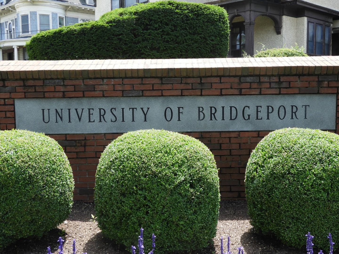 University Bridgeport CT 1 of  6 (#8968)