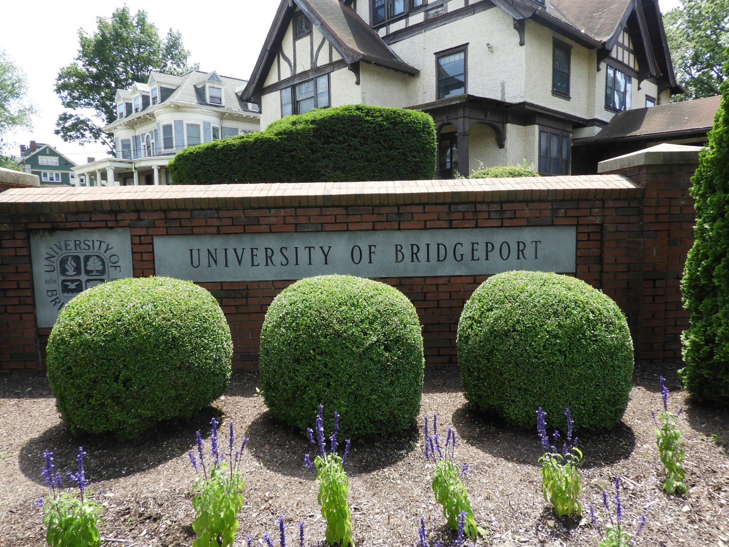 University Bridgeport CT 2 of  6 (#8969)