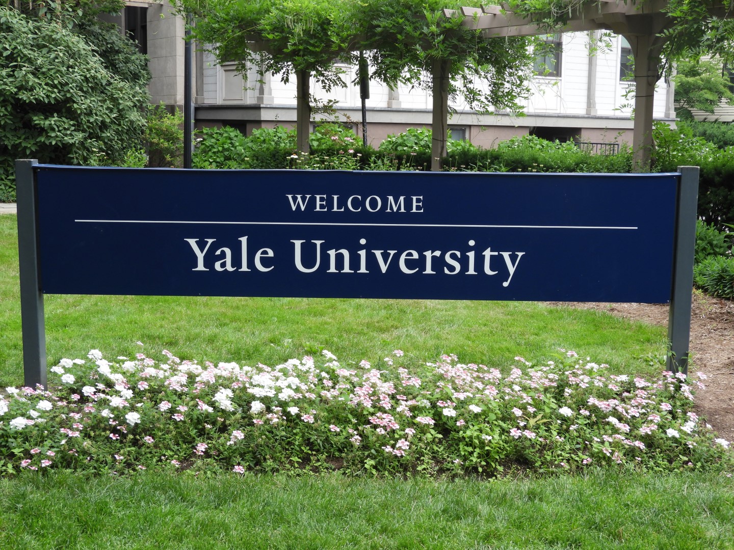 Yale University CT 1 of  1 (#8974)