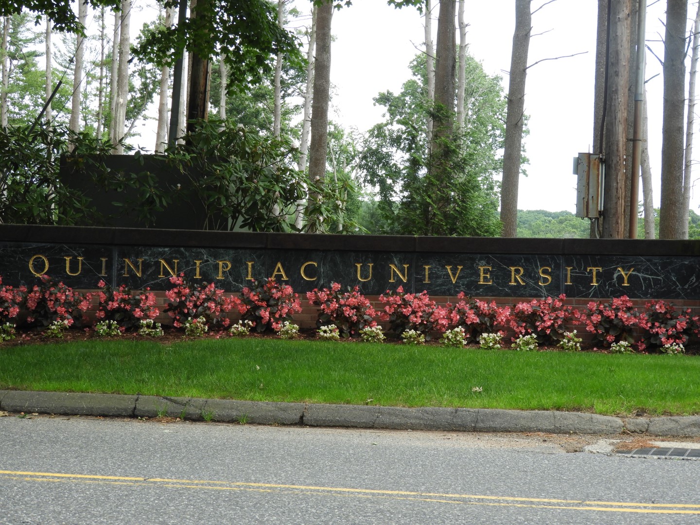 Quinnipiac University CT 1 of  9 (#8975)