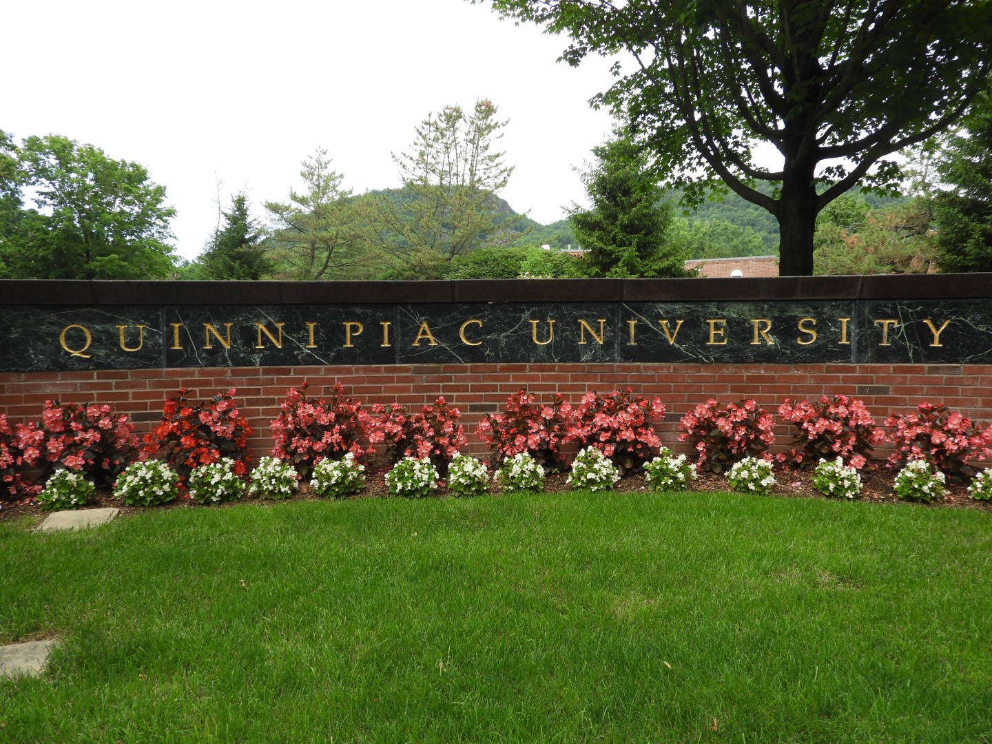 Quinnipiac University CT 2 of  9 (#8976)