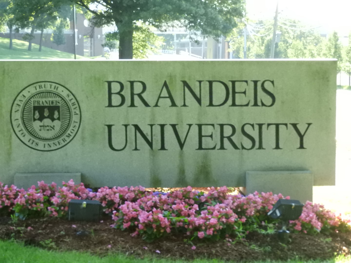 Brandeis University MA 3 of  4 (#9258)