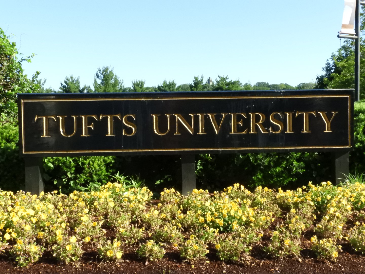 Boston MA  1 of  5 (#9260)