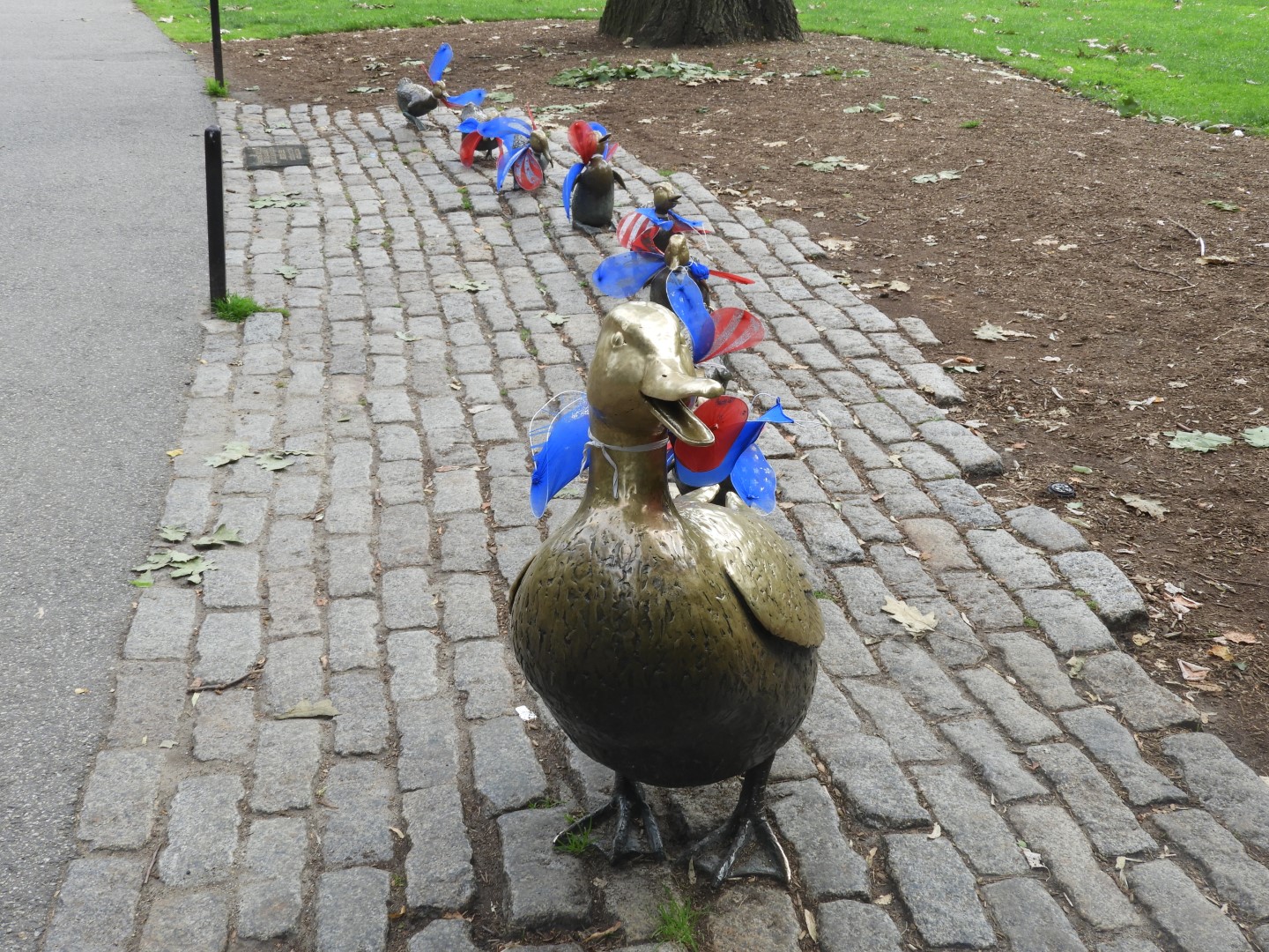 Here Come the Ducklings in Boston Commons in Boston MA  2 of  6 (#9365)