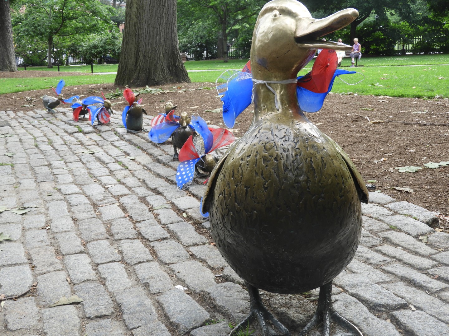 Here Come the Ducklings in Boston Commons in Boston MA  3 of  6 (#9366)