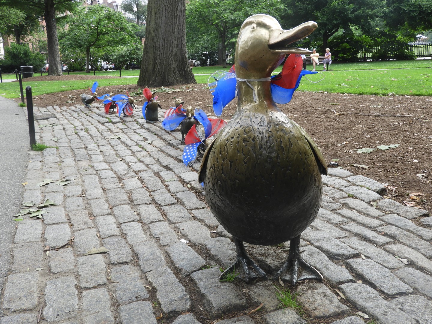 Here Come the Ducklings in Boston Commons in Boston MA  4 of  6 (#9367)