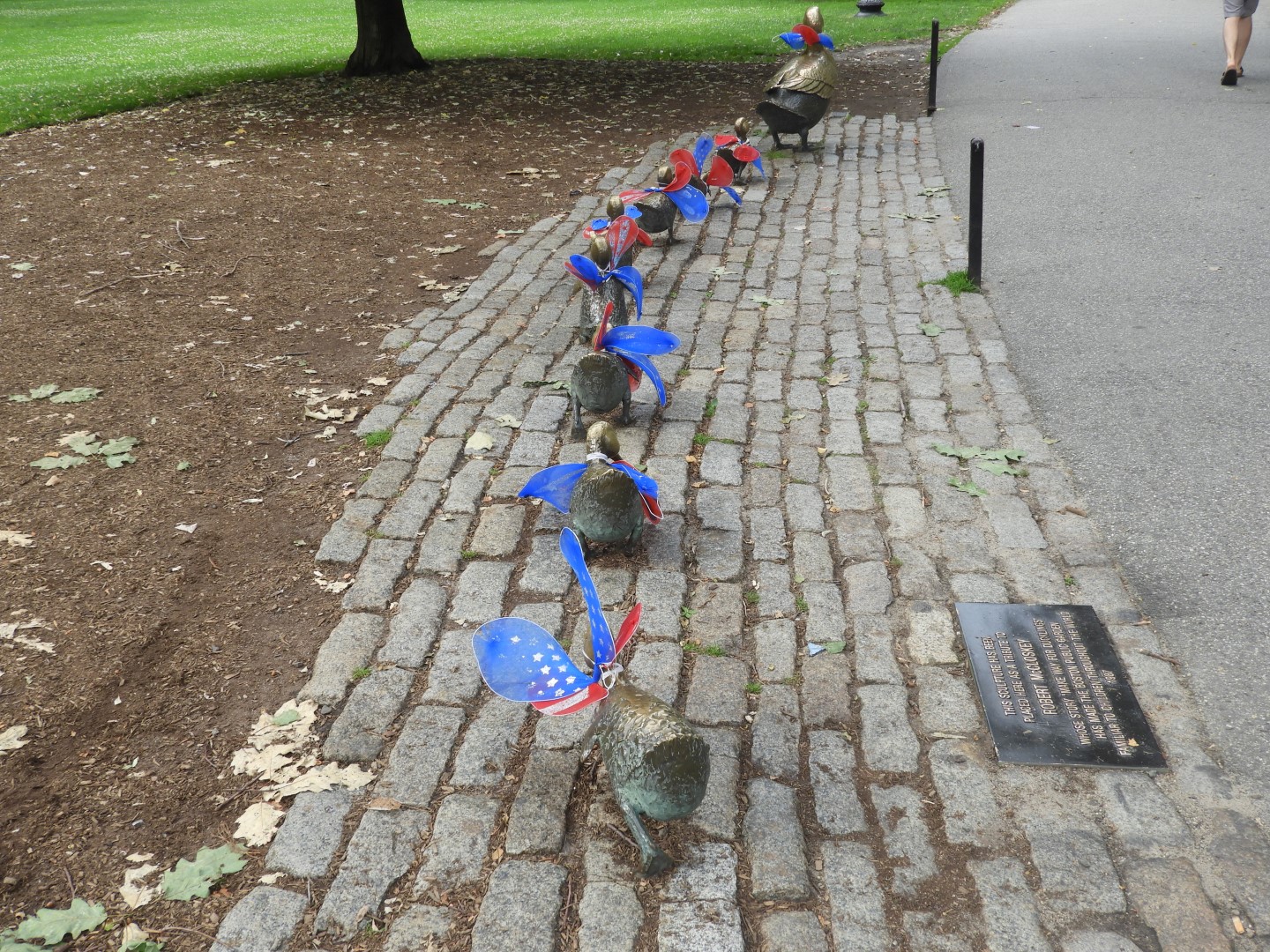 Here Come the Ducklings in Boston Commons in Boston MA  5 of  6 (#9368)