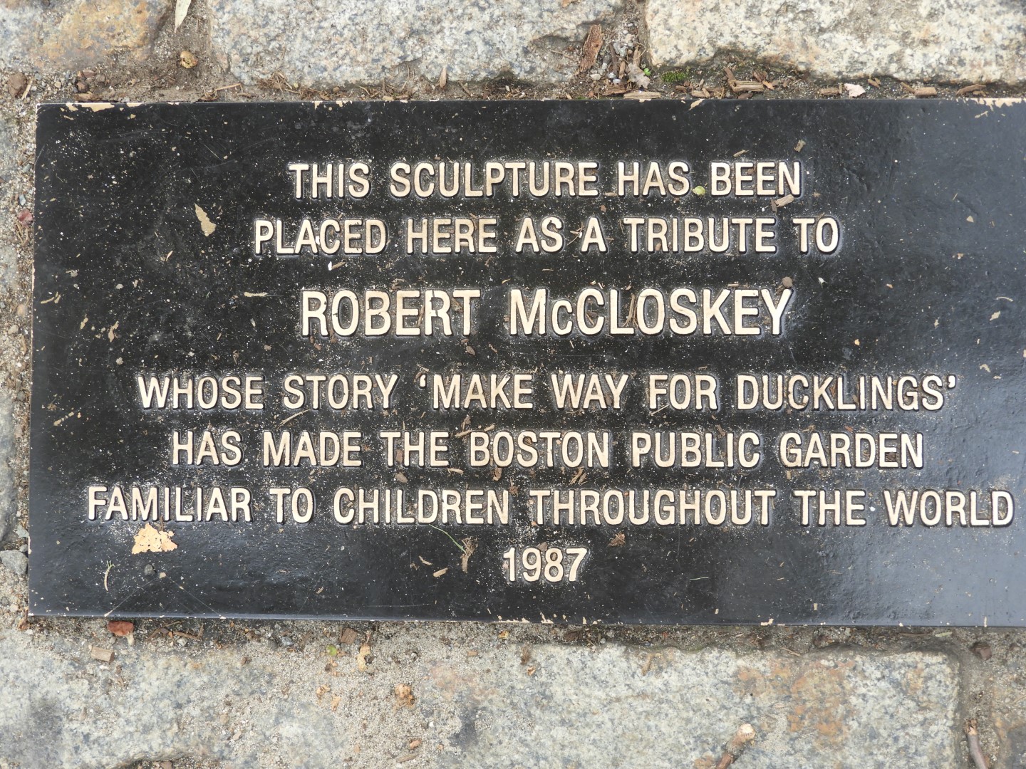 Here Come the Ducklings in Boston Commons in Boston MA  6 of  6 (#9369)