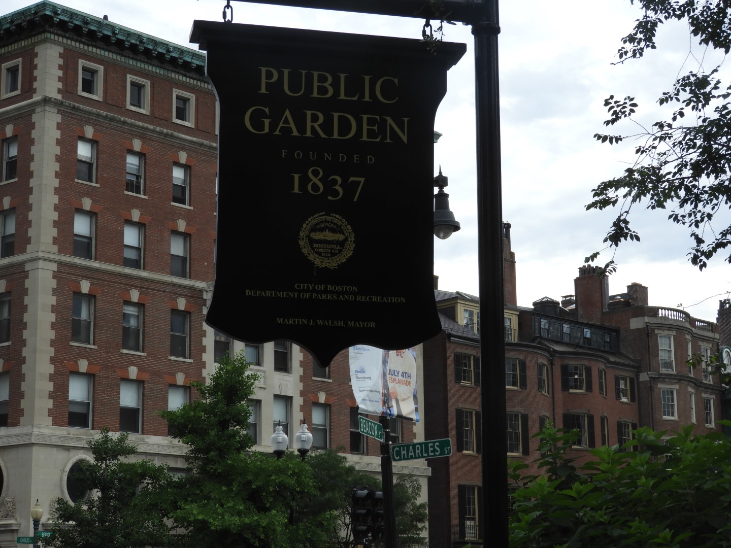 Boston Commons in Boston MA  1 of  9 (#9370)