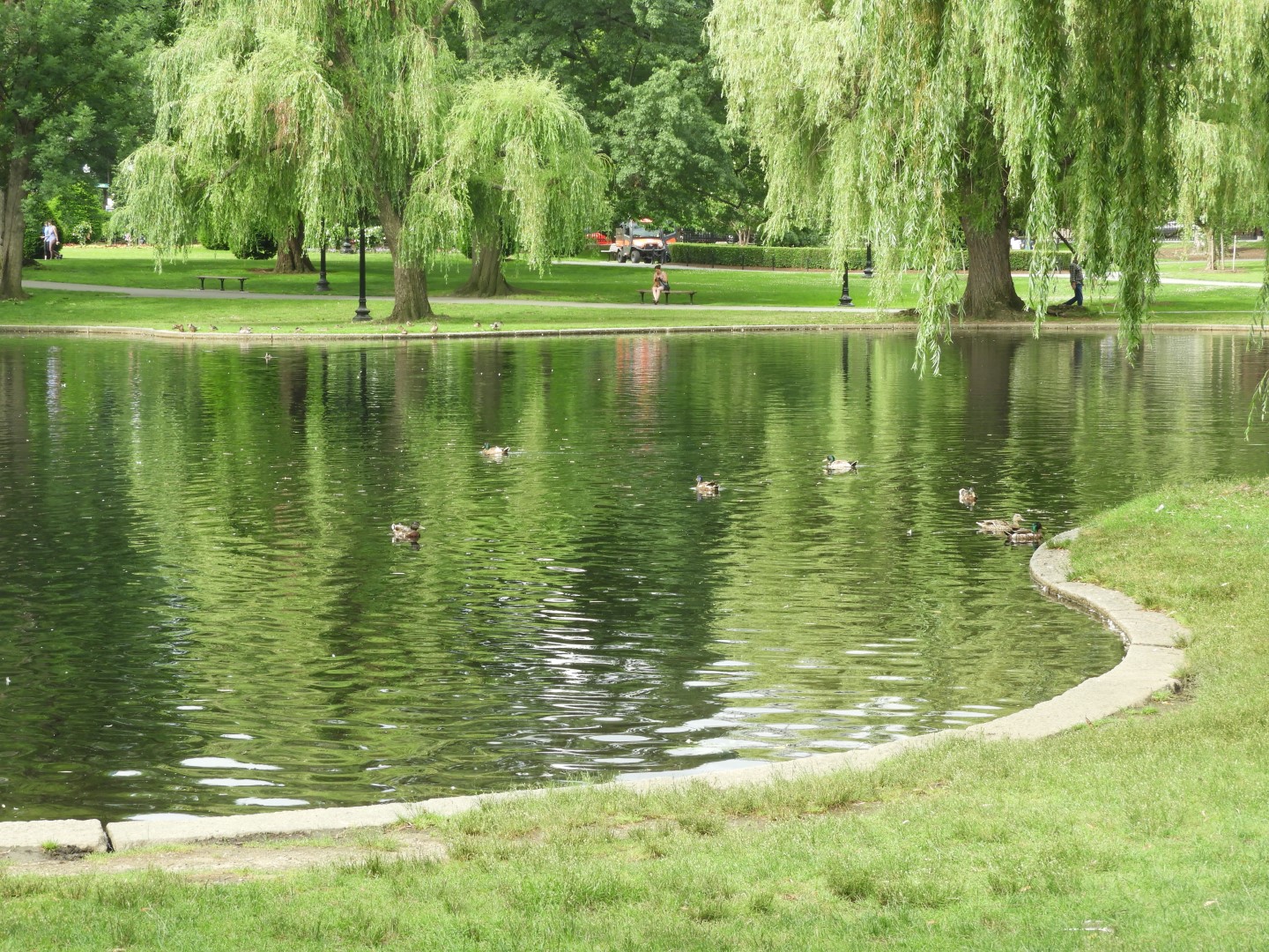 Boston Commons in Boston MA  2 of  9 (#9377)