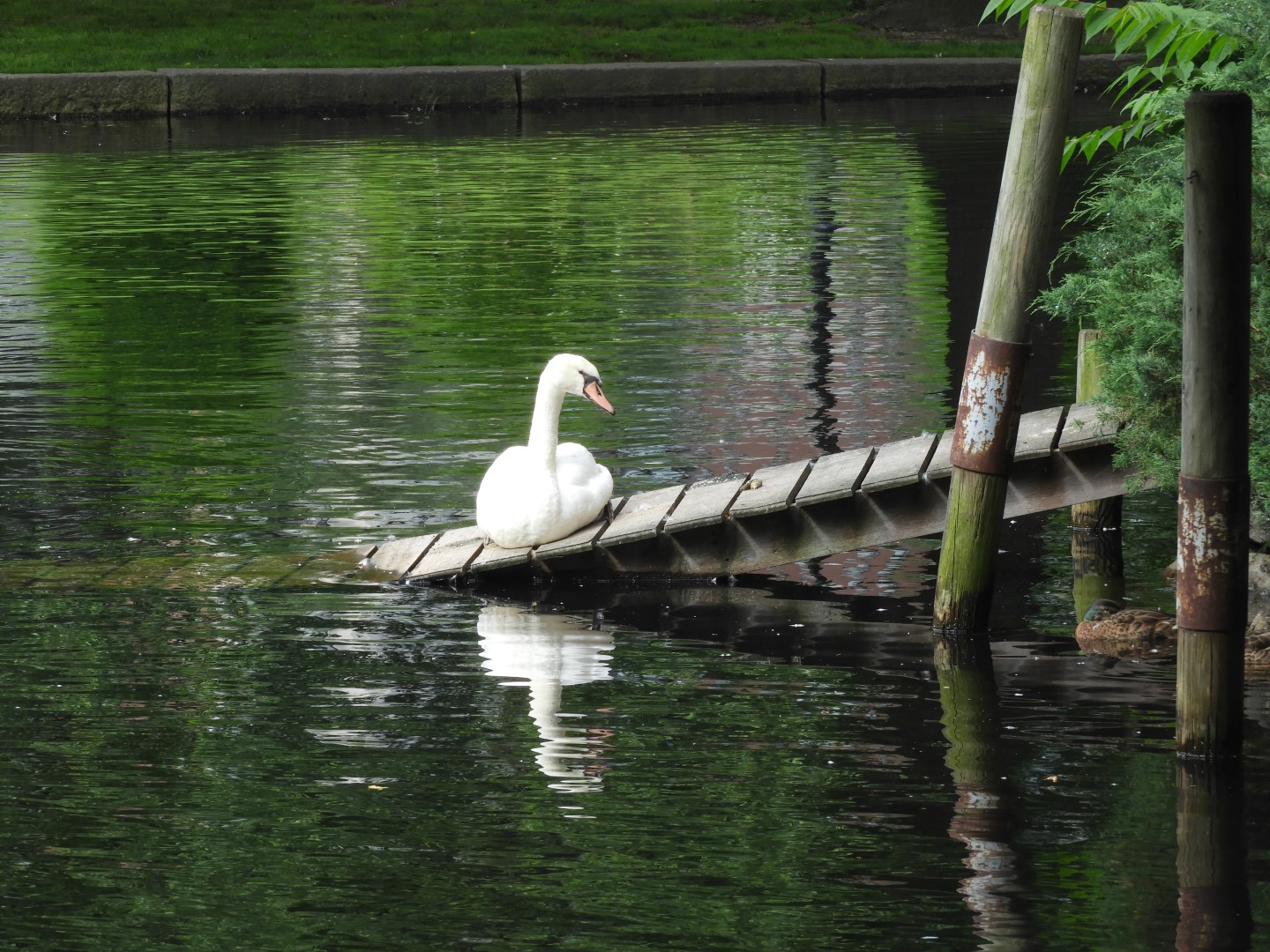 Boston Commons in Boston MA  4 of  9 (#9379)