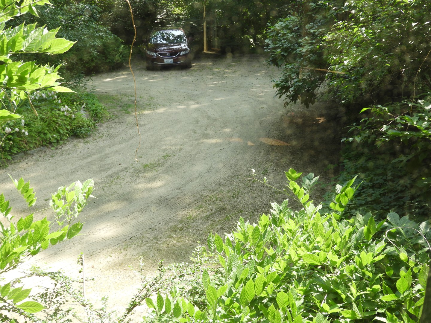 Frederick Law Olmstead National Park in Brookline MA 11 of 25 (#9431)