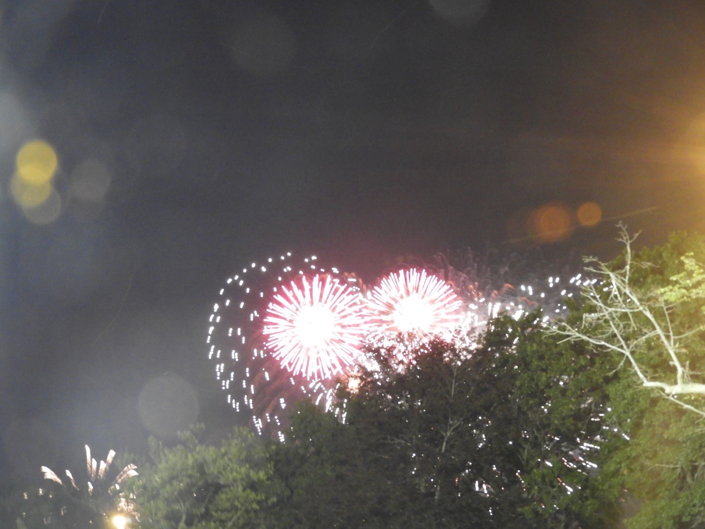 Fireworks in Boston MA  7 of 65 (#9453)