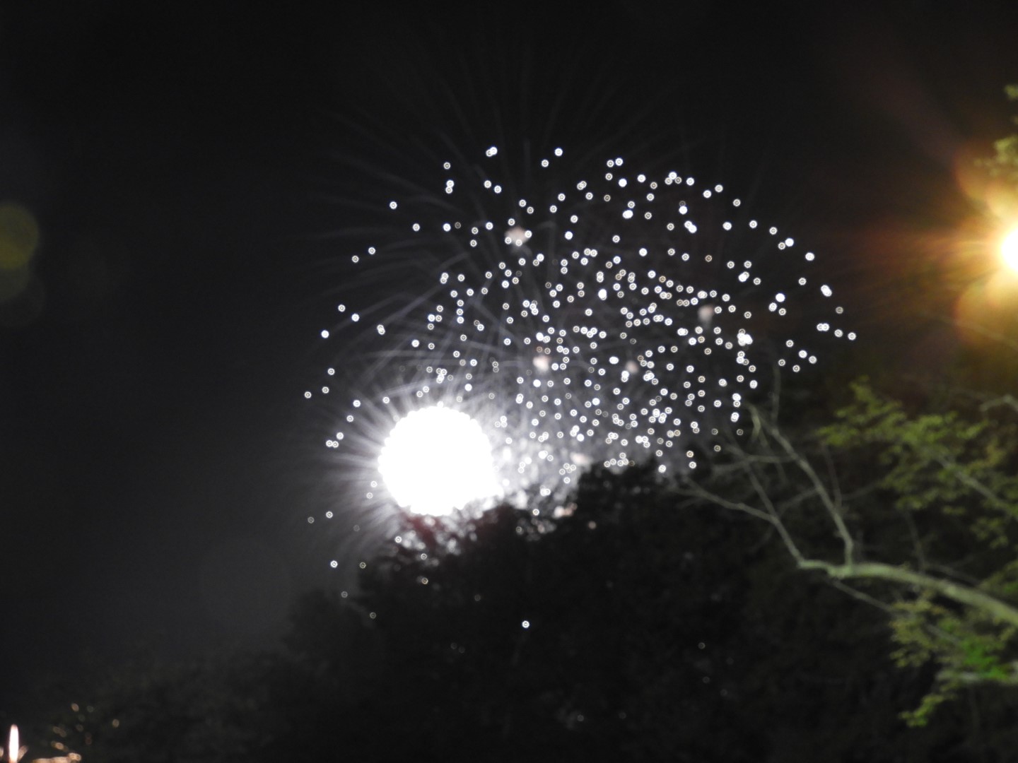 Fireworks in Boston MA  9 of 65 (#9455)