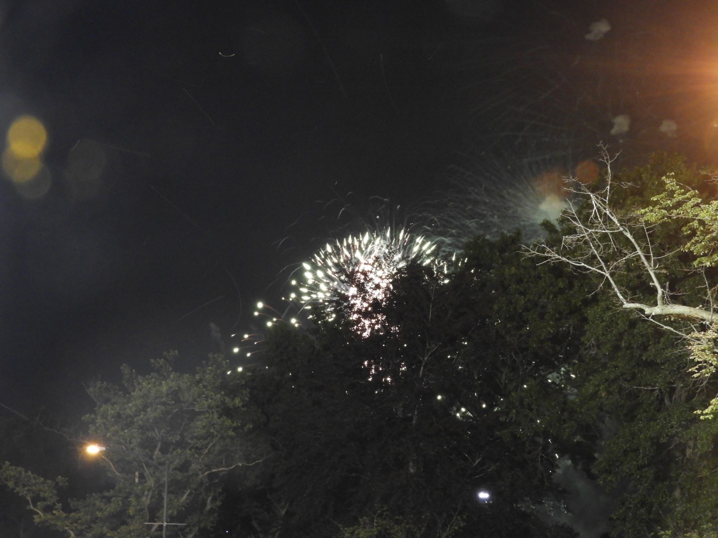 Fireworks in Boston MA 12 of 65 (#9458)