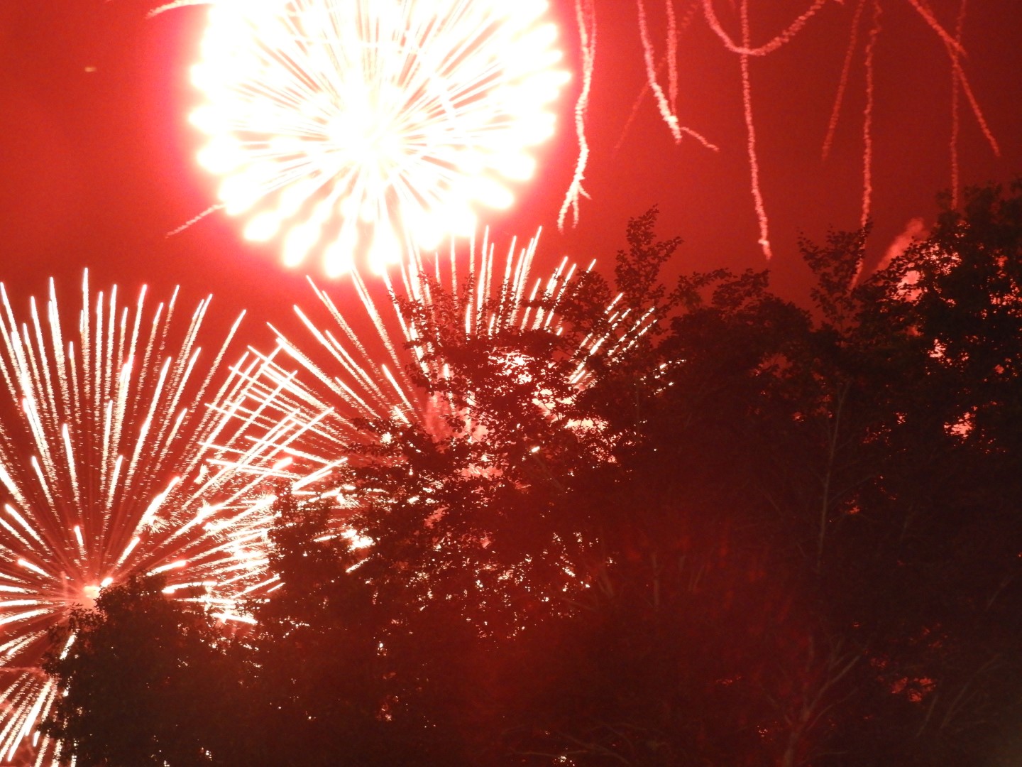 Fireworks in Boston MA 17 of 65 (#9463)