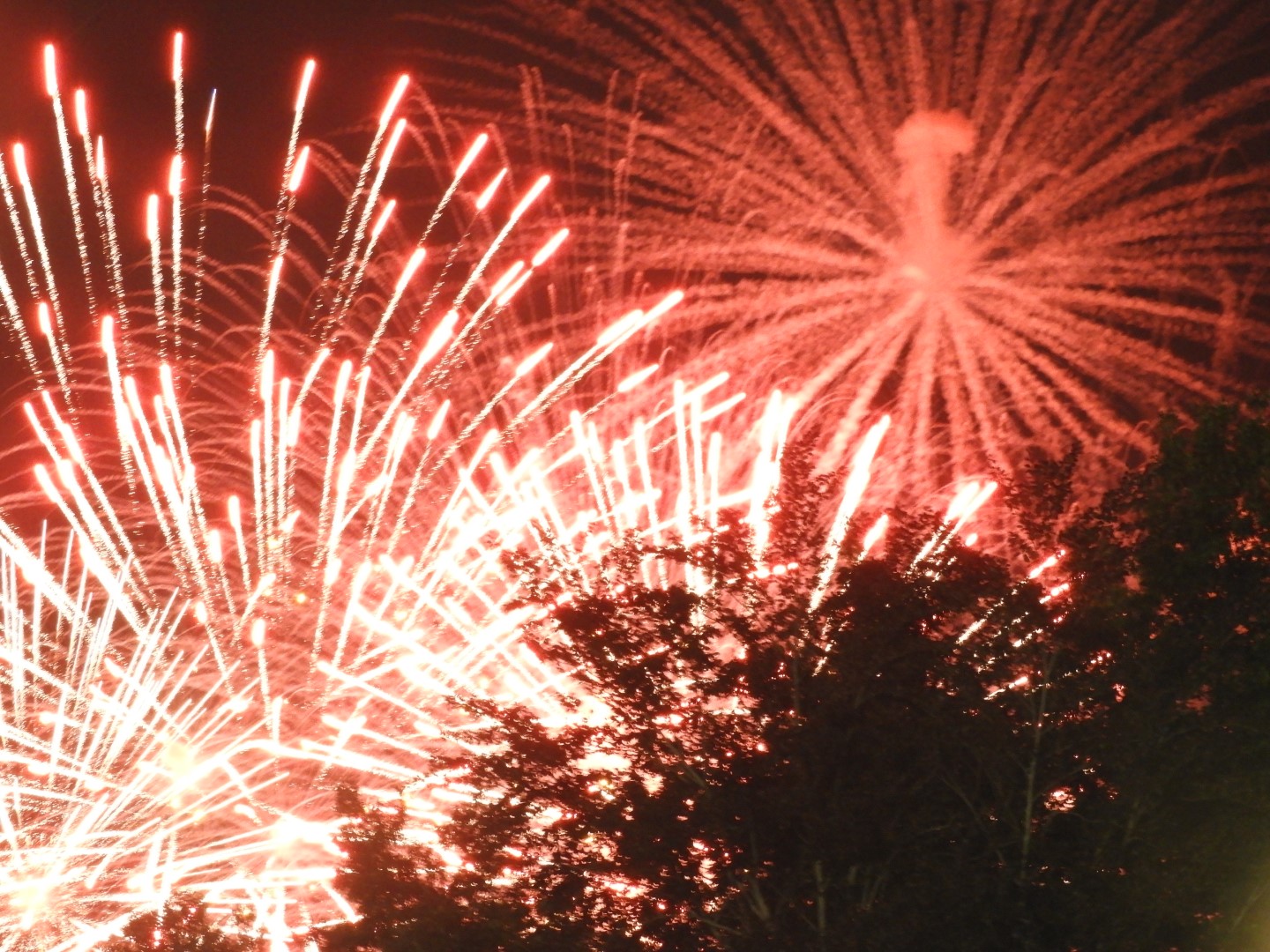 Fireworks in Boston MA 20 of 65 (#9466)