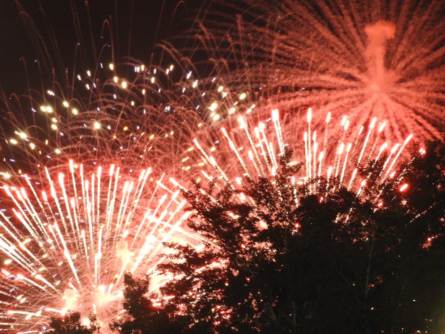 Fireworks in Boston MA 21 of 65 (#9467)
