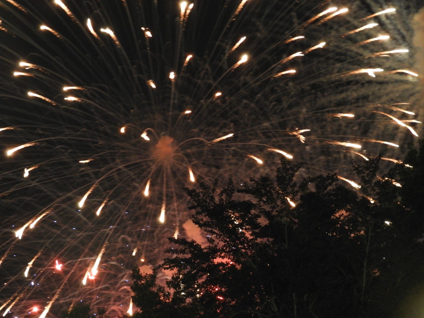 Fireworks in Boston MA 22 of 65 (#9468)