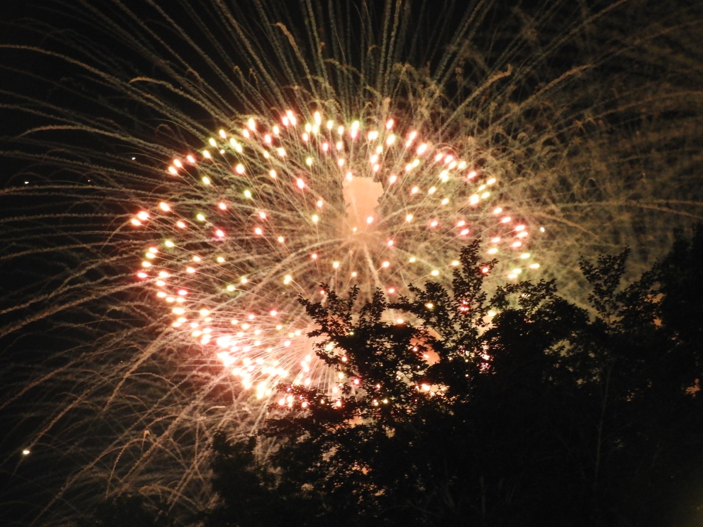 Fireworks in Boston MA 23 of 65 (#9469)