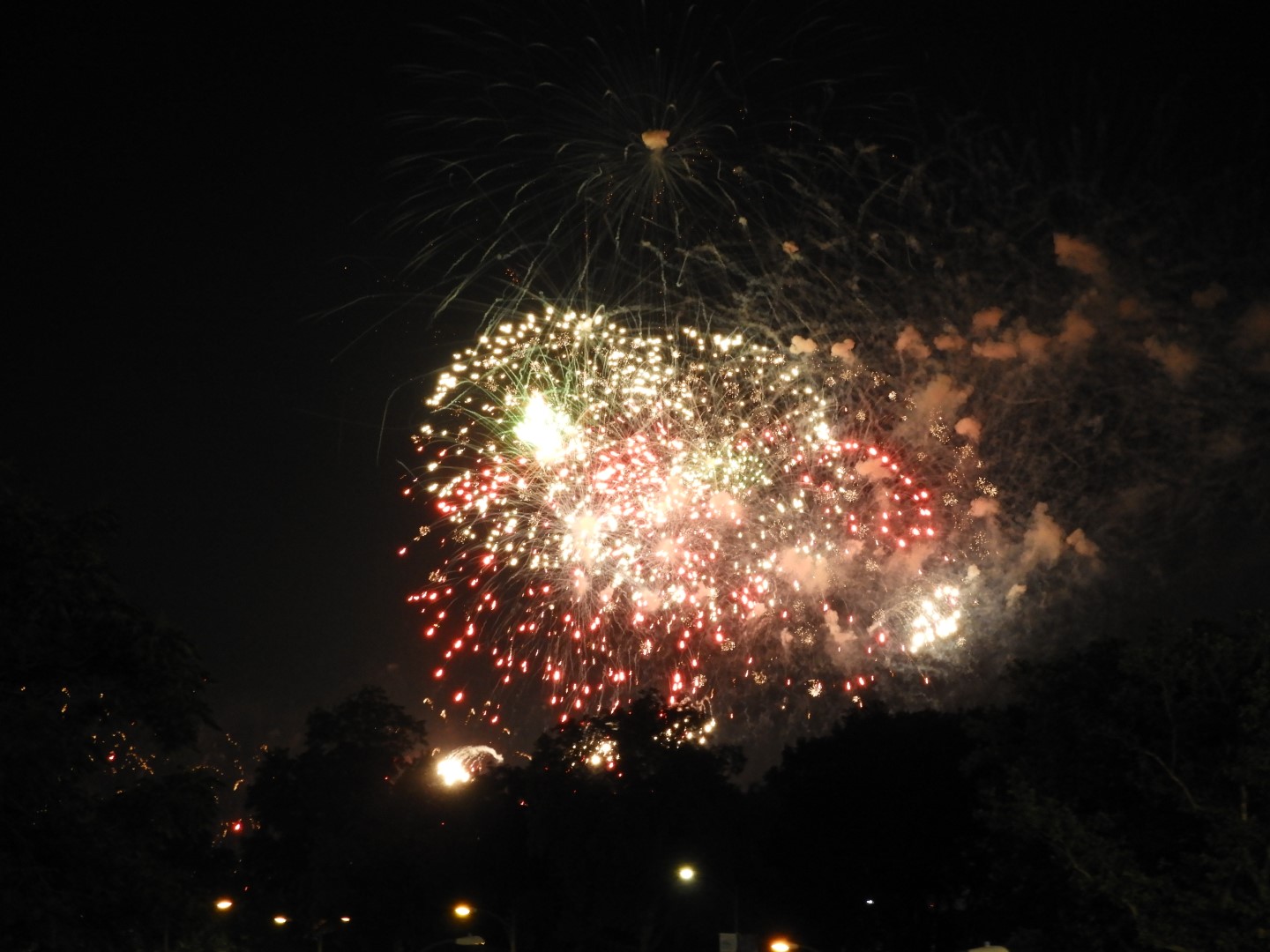 Fireworks in Boston MA 27 of 65 (#9473)